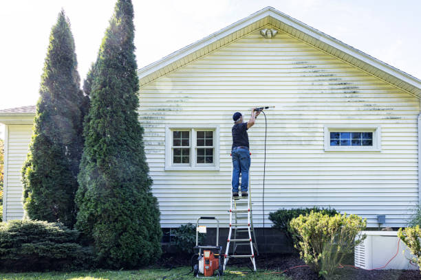 Best Deck Cleaning Services  in Cohasset, MN
